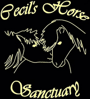 Cecil's Horse Sanctuary